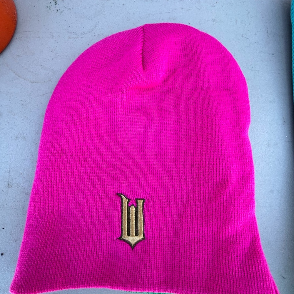 Wicked for Good Pink Beanie reversible green